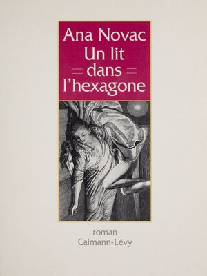 cover image of Un lit dans l'Hexagone